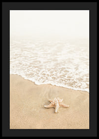 Poster med ett fotografi på en sjöstjärna vid vattenbrynet på en strand-4
