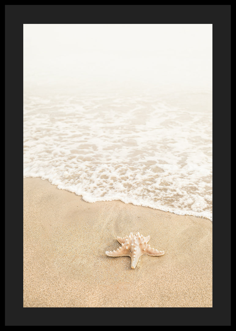 Poster med ett fotografi på en sjöstjärna vid vattenbrynet på en strand-12