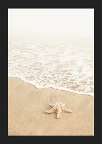 Poster med ett fotografi på en sjöstjärna vid vattenbrynet på en strand-5