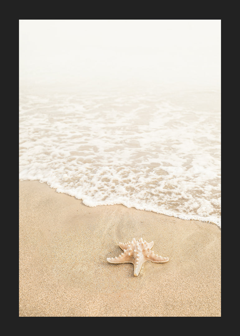 Poster med ett fotografi på en sjöstjärna vid vattenbrynet på en strand-12