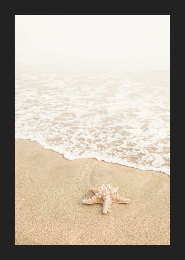 Poster con la fotografia di una stella marina in riva al mare su una spiaggia-12