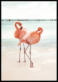 Poster with a photograph of two flamingos on a beach-6