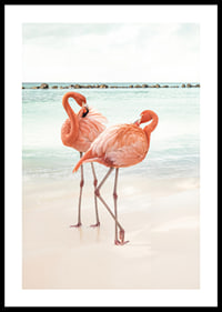 Poster with a photograph of two flamingos on a beach-0