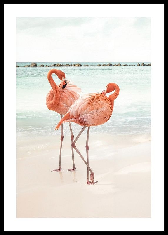 Poster met een foto van twee flamingo's op een strand-12