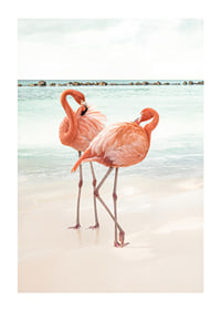 Poster with a photograph of two flamingos on a beach-1