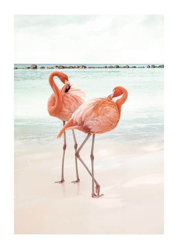 Poster met een foto van twee flamingo's op een strand-12