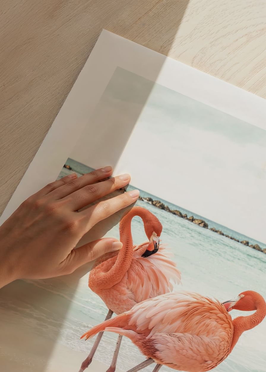 Poster met een foto van twee flamingo's op een strand-12