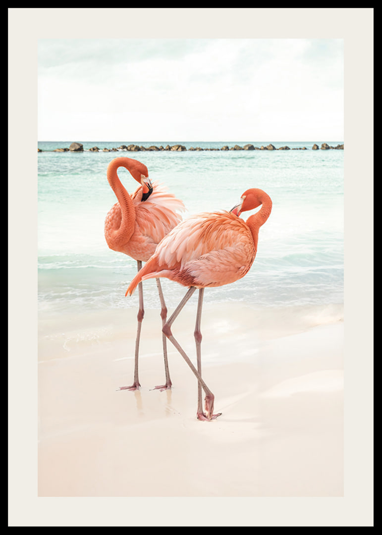 Poster with a photograph of two flamingos on a beach-12