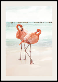 Affiche avec une photographie de deux flamants roses sur une plage-2