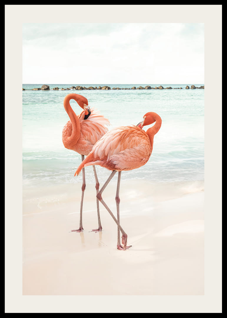 Affiche avec une photographie de deux flamants roses sur une plage-12
