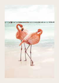 Poster with a photograph of two flamingos on a beach-3