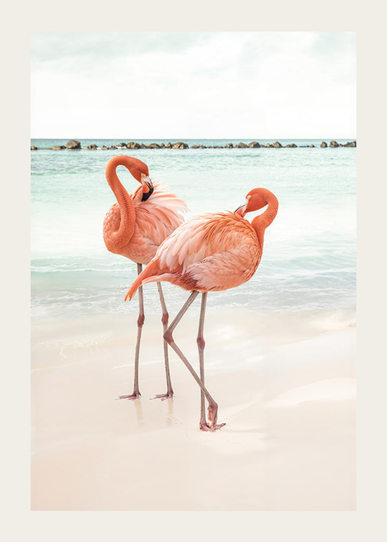 Poster with a photograph of two flamingos on a beach-12