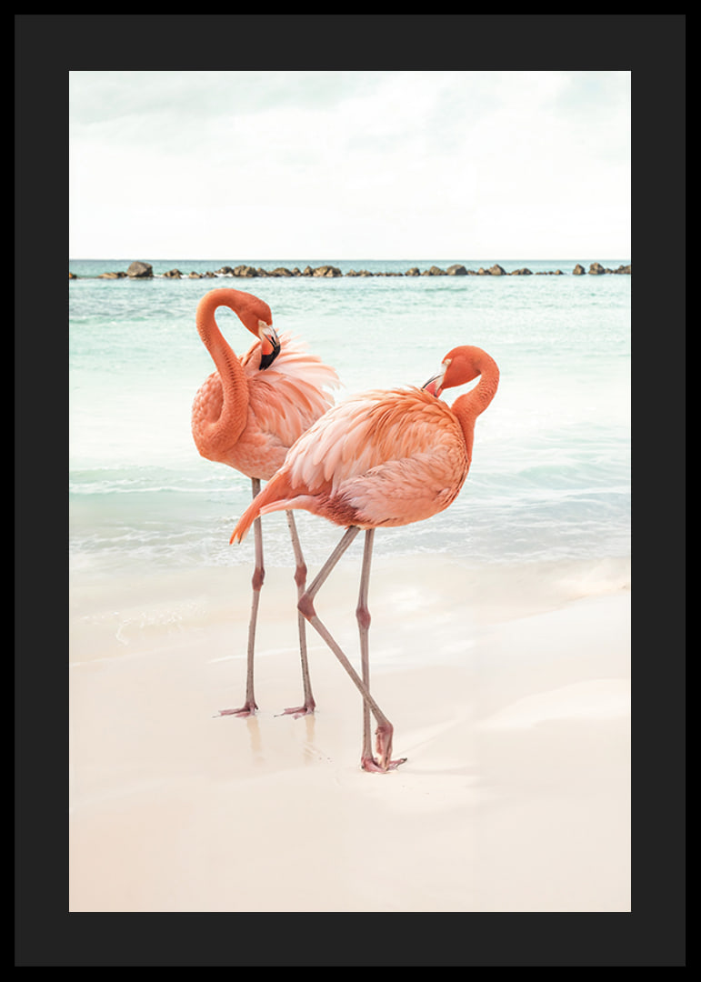Poster with a photograph of two flamingos on a beach-12