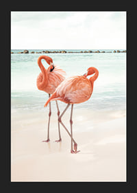 Poster with a photograph of two flamingos on a beach-5