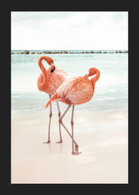 Affiche avec une photographie de deux flamants roses sur une plage-5