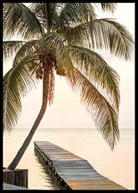 Poster with a photograph of a jetty in the sea under a palm tree at sunset-6