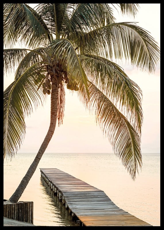 Poster with a photograph of a jetty in the sea under a palm tree at sunset-12
