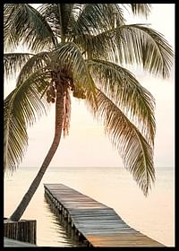 Poster with a photograph of a jetty in the sea under a palm tree at sunset-2