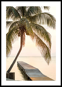 Poster with a photograph of a jetty in the sea under a palm tree at sunset-0
