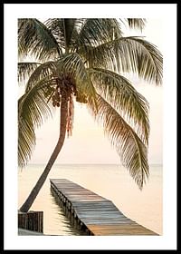 Poster with a photograph of a jetty in the sea under a palm tree at sunset-0