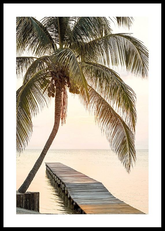 Poster with a photograph of a jetty in the sea under a palm tree at sunset-12
