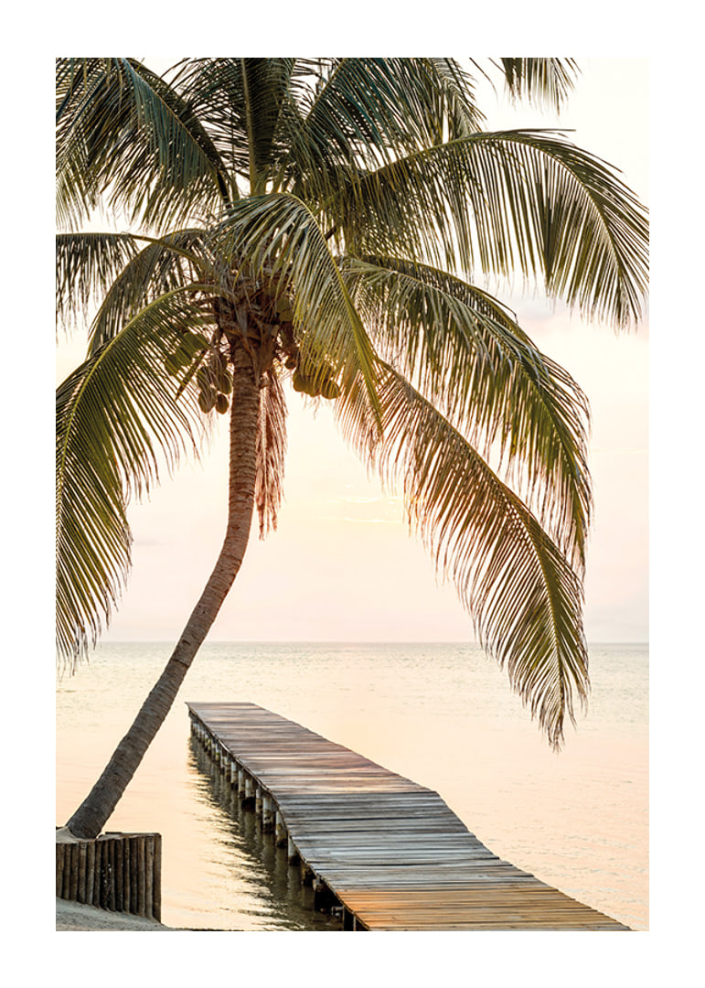 Poster with a photograph of a jetty in the sea under a palm tree at sunset-12