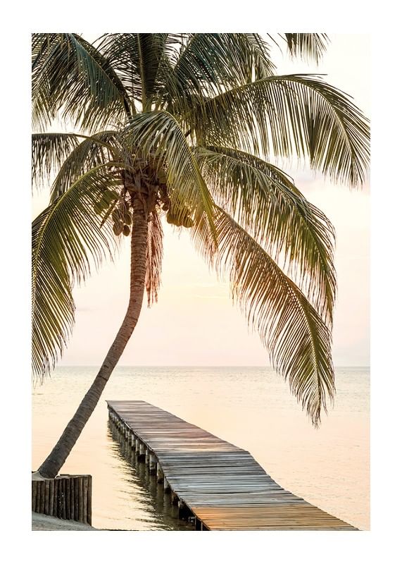 Plagát Tropical Serenity Sunset