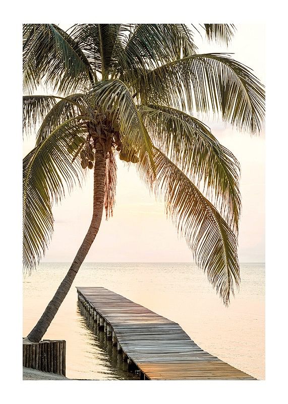 Poster with a photograph of a jetty in the sea under a palm tree at sunset-12