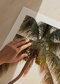 Poster with a photograph of a jetty in the sea under a palm tree at sunset-9