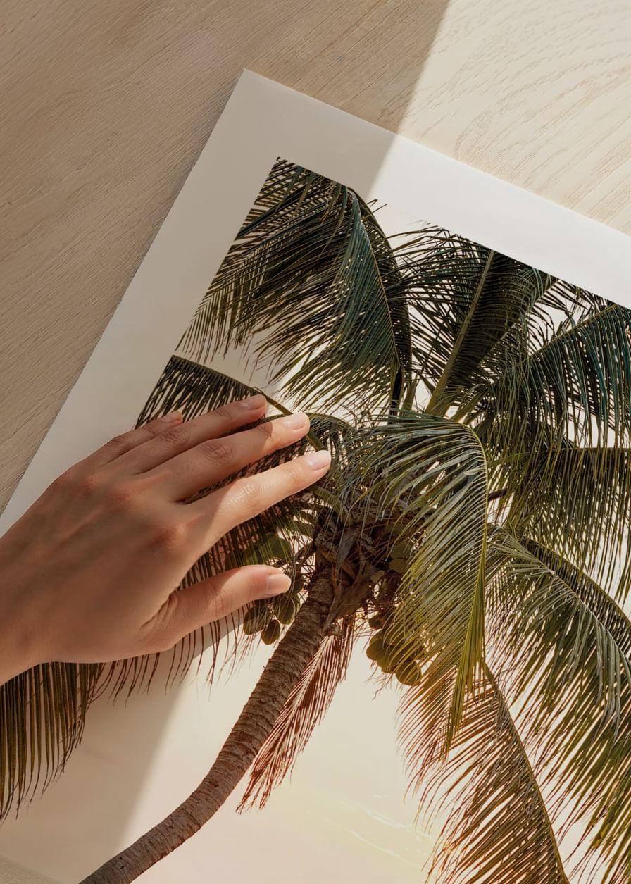 Poster with a photograph of a jetty in the sea under a palm tree at sunset-12