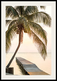 Poster with a photograph of a jetty in the sea under a palm tree at sunset-2