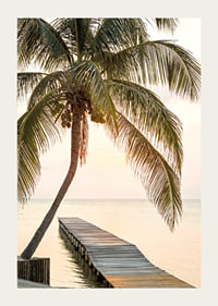 Poster with a photograph of a jetty in the sea under a palm tree at sunset-3