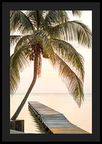 Poster with a photograph of a jetty in the sea under a palm tree at sunset-4