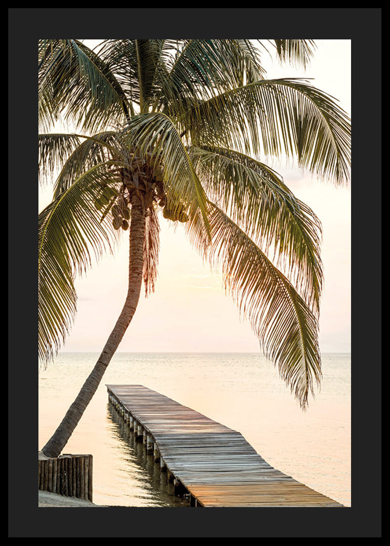 Poster with a photograph of a jetty in the sea under a palm tree at sunset-12