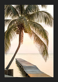 Poster with a photograph of a jetty in the sea under a palm tree at sunset-5