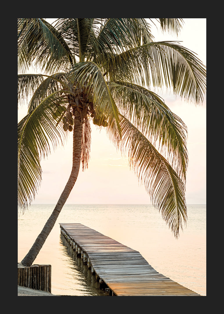 Poster with a photograph of a jetty in the sea under a palm tree at sunset-12