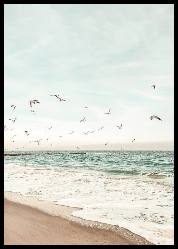 Poster med ett fotografi på måsar som flyger över en strand-12