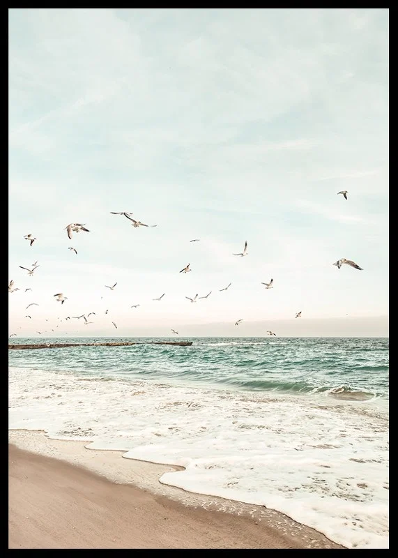 Poster with a photograph of seagulls flying over a beach-12
