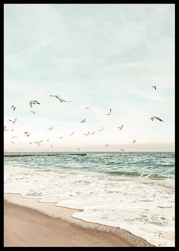 Affiche avec une photographie de mouettes survolant une plage-12