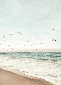 Poster with a photograph of seagulls flying over a beach-7