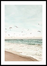 Poster med ett fotografi på måsar som flyger över en strand-0