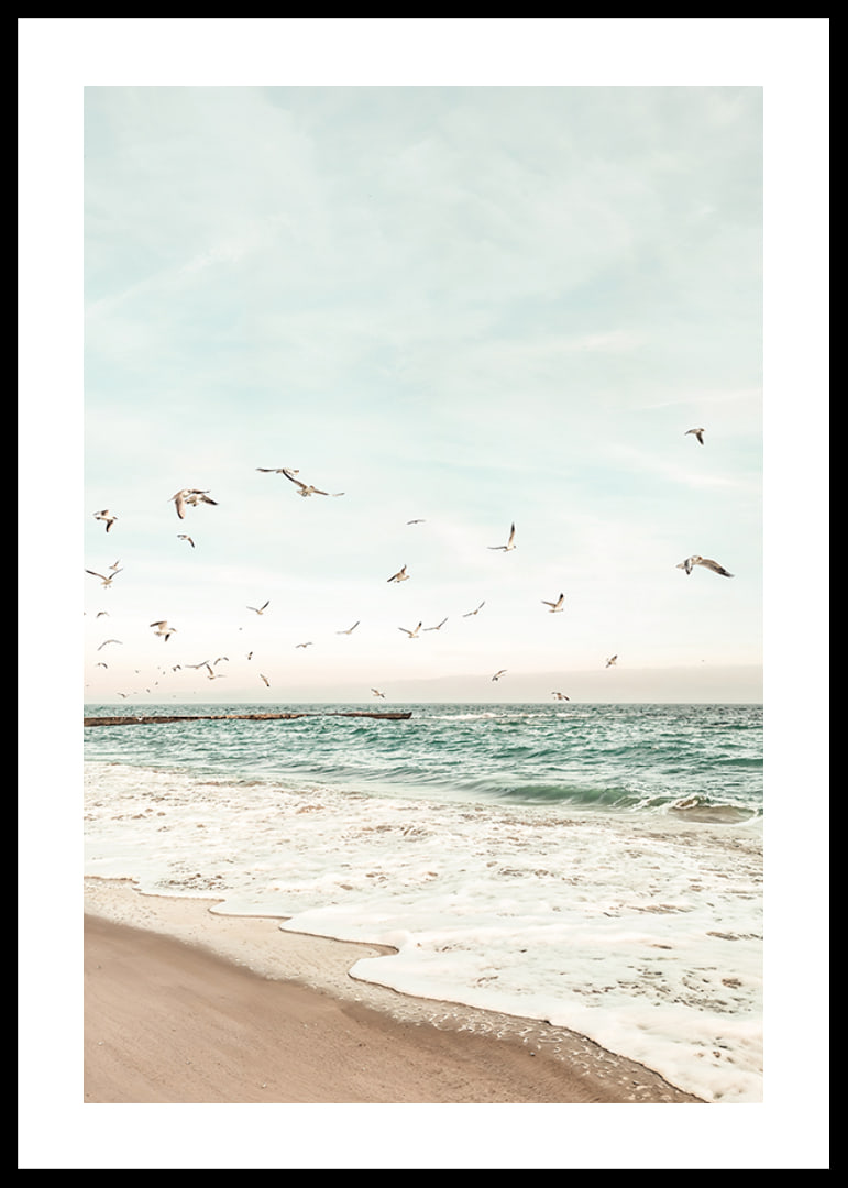 Poster med ett fotografi på måsar som flyger över en strand-12