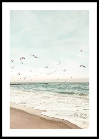 Poster with a photograph of seagulls flying over a beach-0
