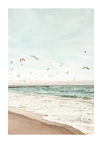 Poster med ett fotografi på måsar som flyger över en strand-1