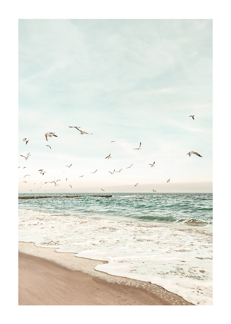 Poster med ett fotografi på måsar som flyger över en strand-12