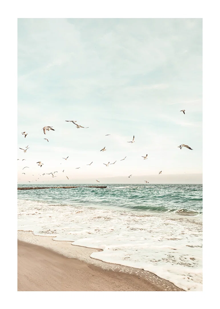 Poster with a photograph of seagulls flying over a beach-12