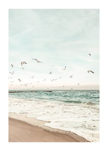 Plagát Seagull Shore