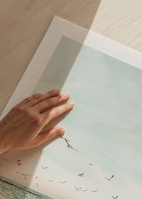Poster med ett fotografi på måsar som flyger över en strand-9