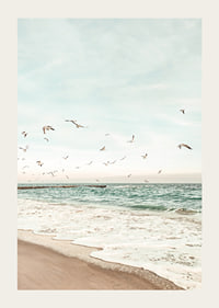 Poster med ett fotografi på måsar som flyger över en strand-3