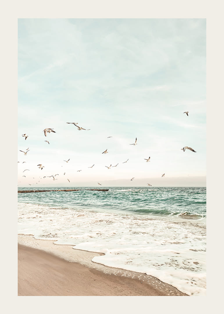 Poster met een foto van meeuwen die over een strand vliegen-12